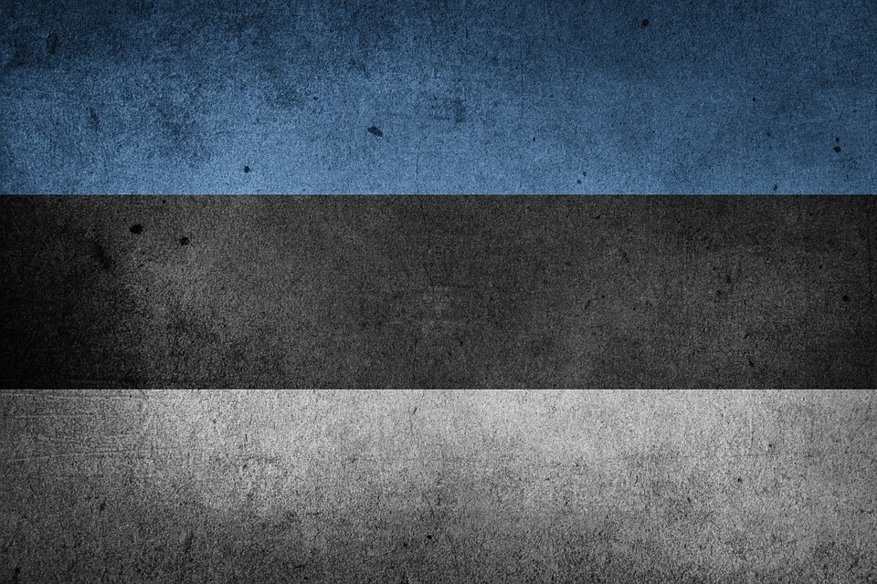 Эстонии впору самой задуматься, кто является спонсором терроризма — политолог